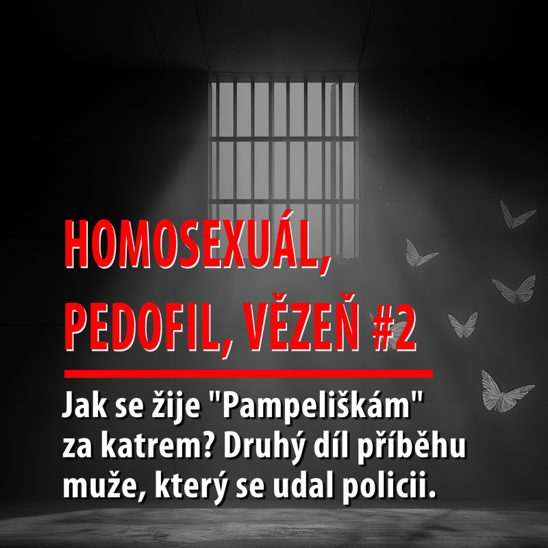 Obrázek epizody Motýl za katrem: Jak se žije "Pampeliškám" za katrem? Druhý díl příběhu muže, který se udal policii.