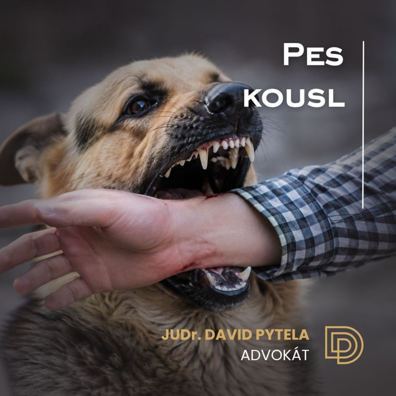 Obrázek epizody 107: Pes Kousl