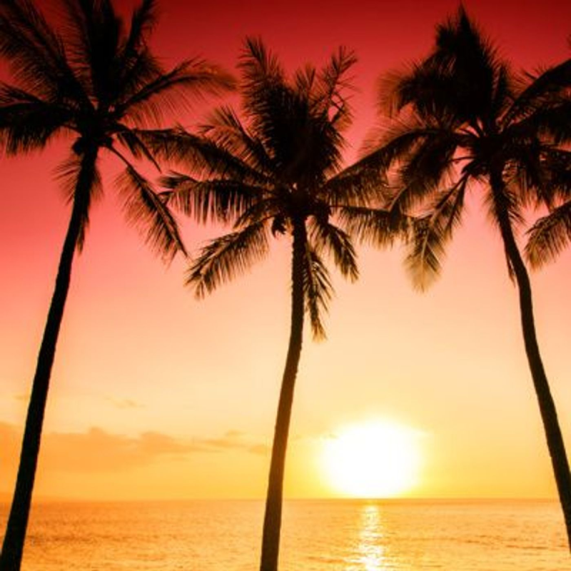 Obrázek epizody Total Relaxation: Sleep Music and Ocean Waves