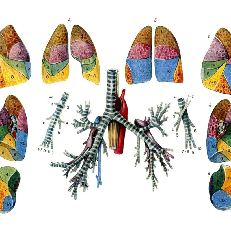 Obrázek epizody Breath