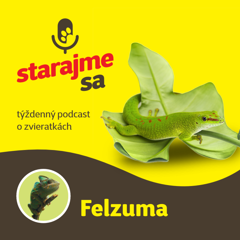 Obrázek epizody Teraristika: Felzuma