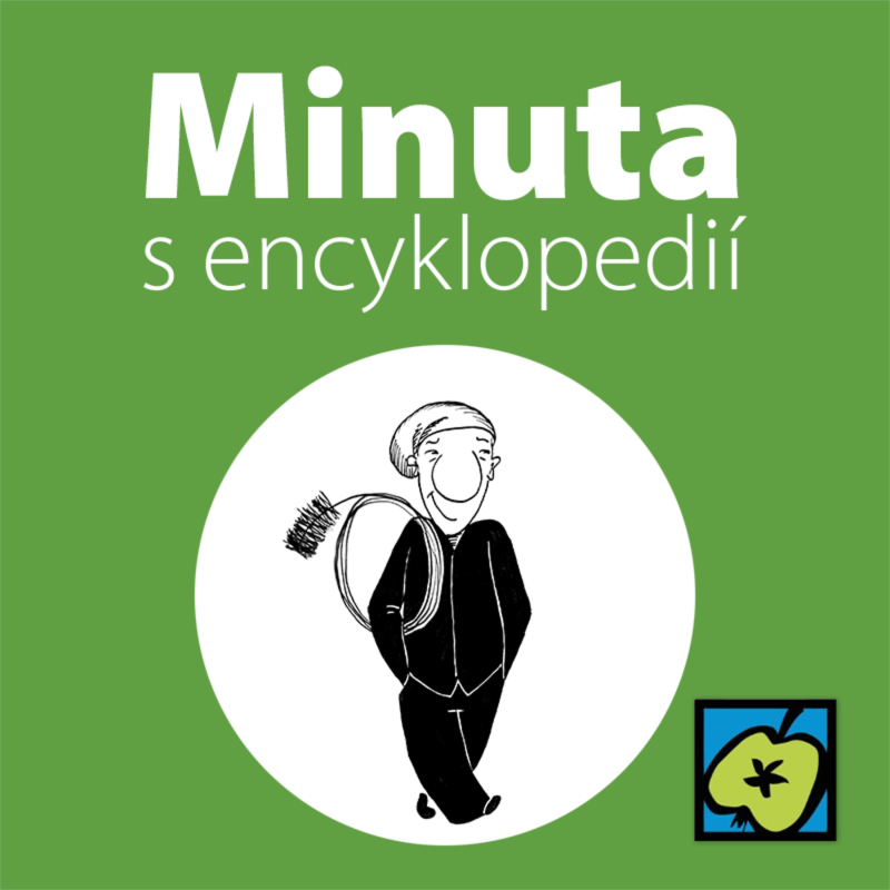 Obrázek epizody Kominík