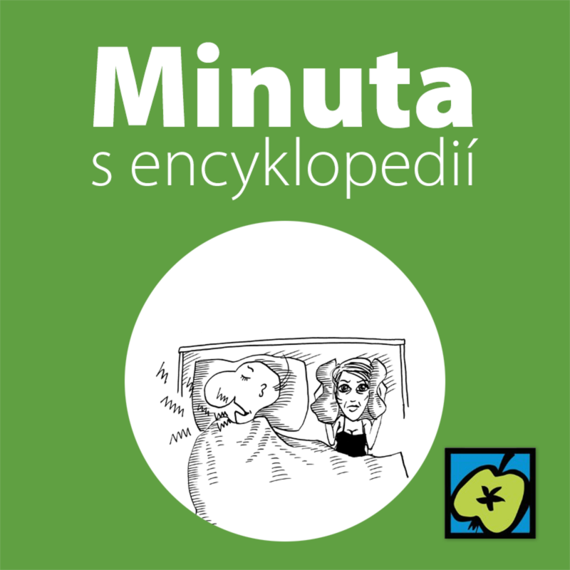 Obrázek epizody Chrápání