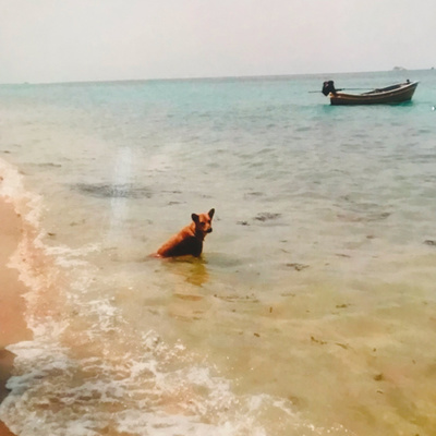 Obrázek epizody #48 Charlie