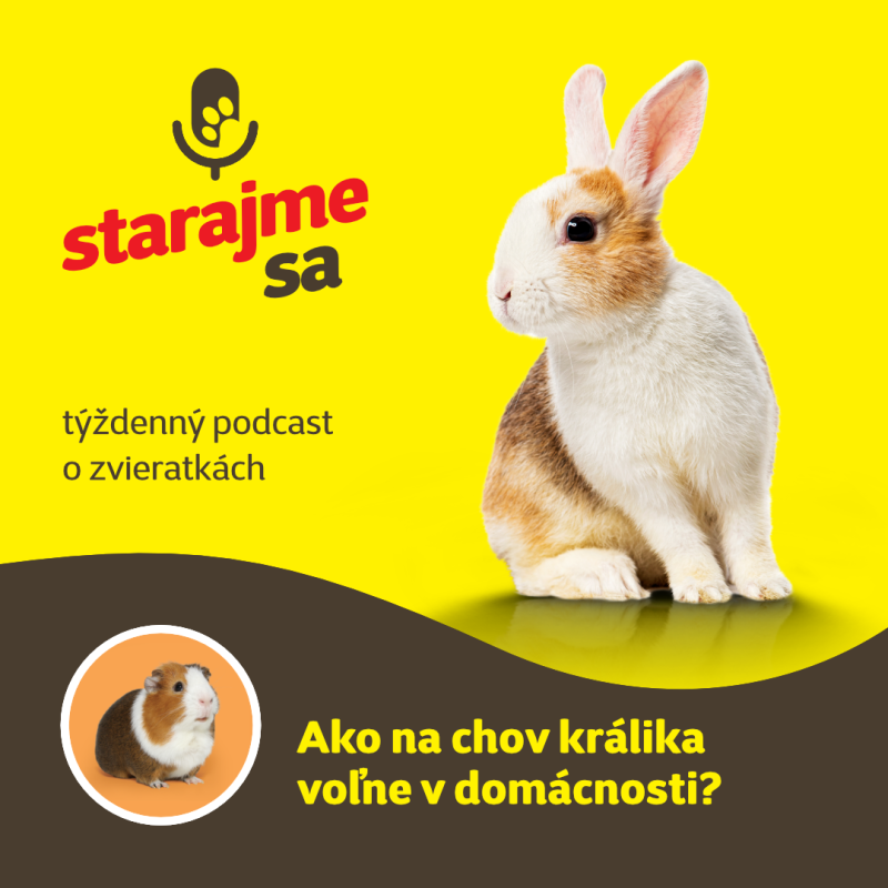 Obrázek epizody Drobné cicavce: Ako na chov králika voľne v domácnosti?