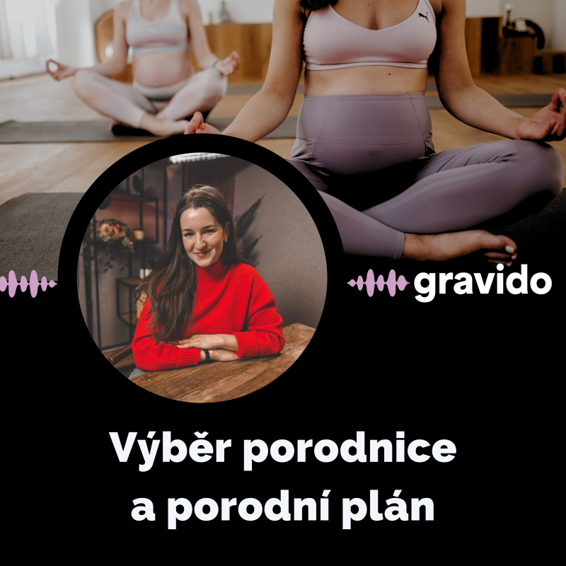 Obrázek epizody Deník porodní báby: Výběr porodnice a porodní plán