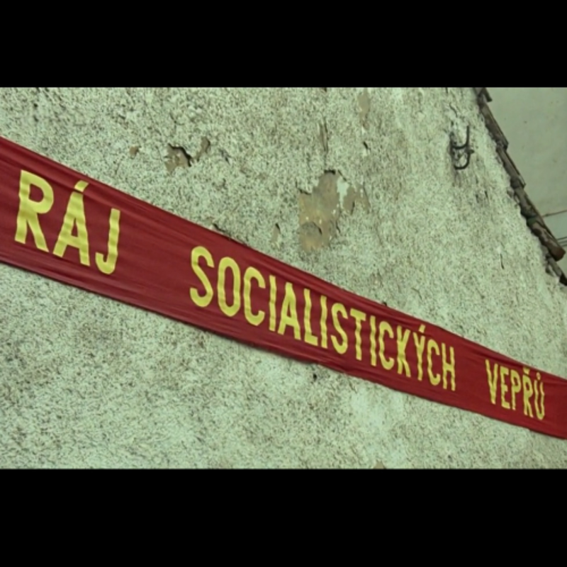 Obrázek epizody 2026-04-20 TROJKA (Koubová, Kotek, Zapletalová) / Černí baroni