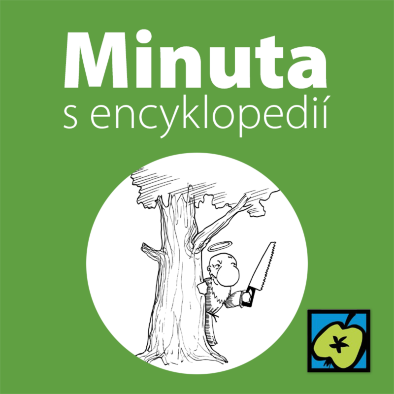 Obrázek epizody Svatý Bonifác