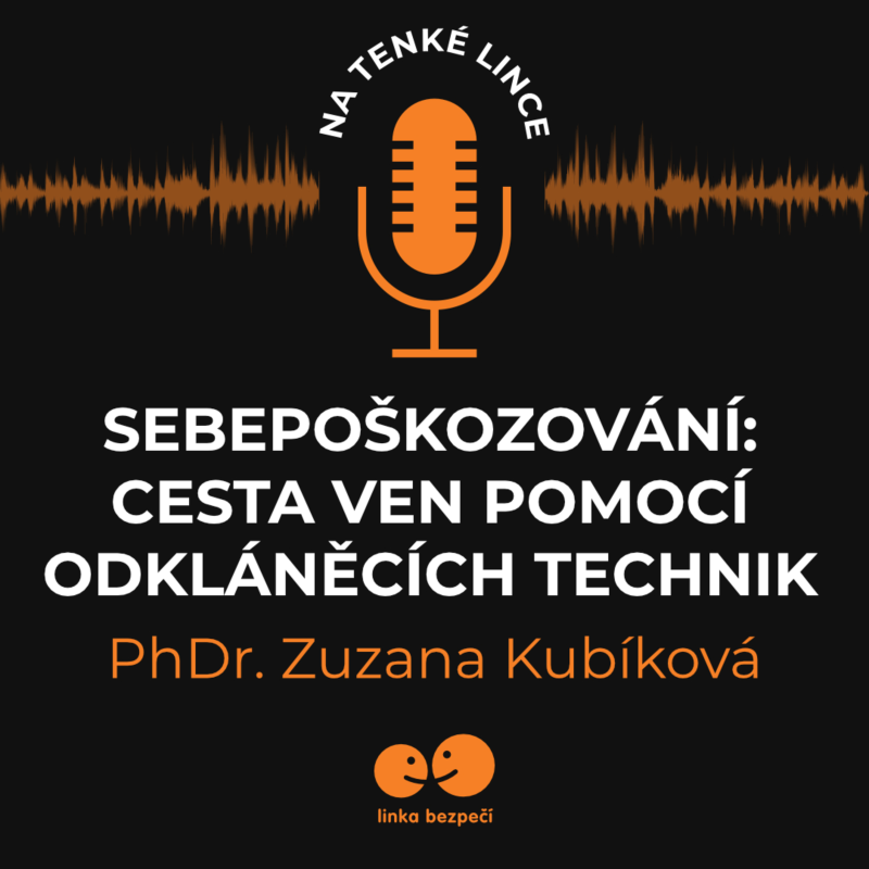 Obrázek epizody Sebepoškozování: cesta ven pomocí odkláněcích technik