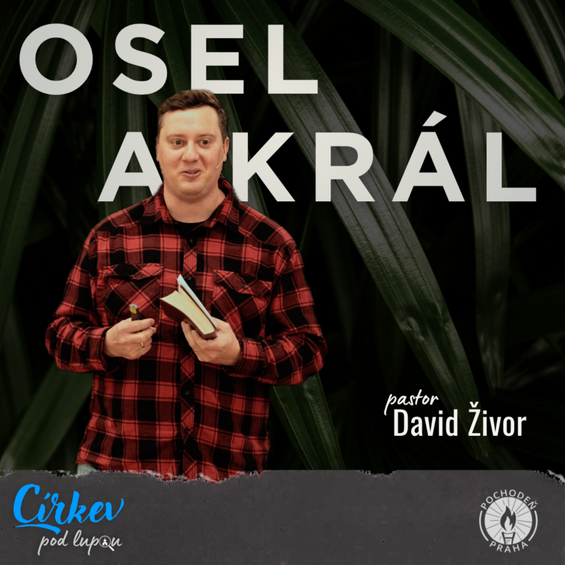 Obrázek epizody Osel a Král | Mk 11,1-11 | David Živor