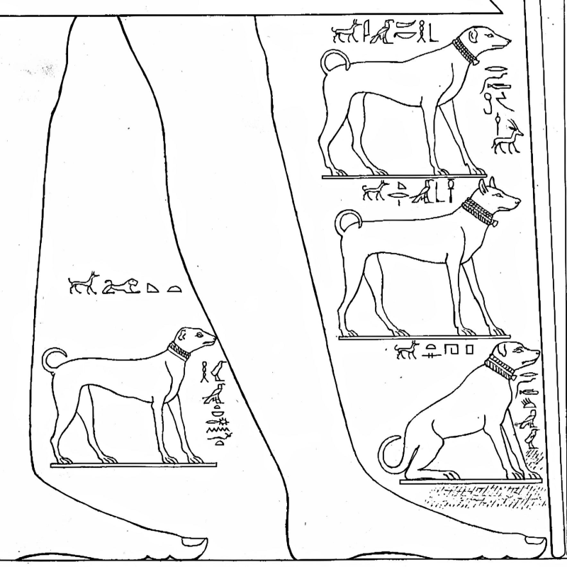 Obrázek epizody 26c: A Legacy in Flames - The First Intermediate Period (Part 6)