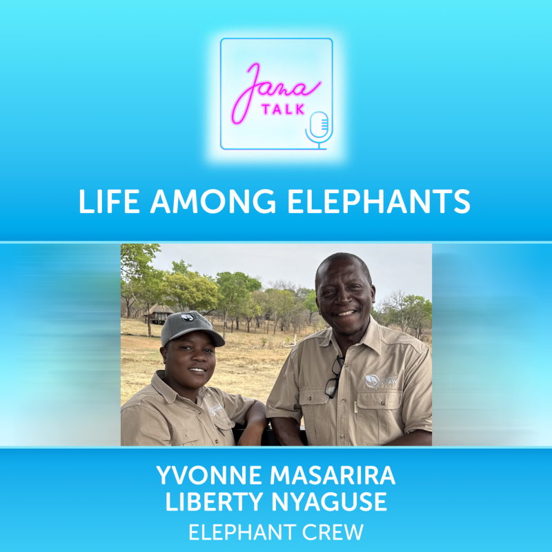 Obrázek epizody EN 21 Life Among Elephants 🐘 Discover the Beauty, Wisdom & Emotions of Africa’s Giants