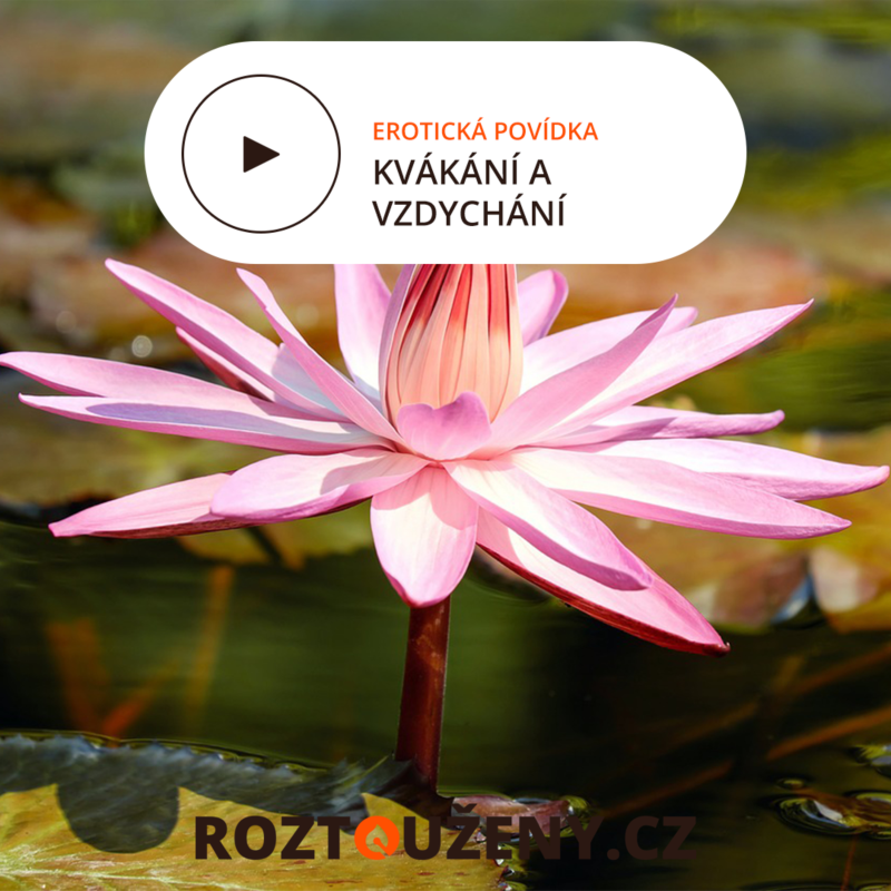 Obrázek epizody Erotická povídka: Kvákání a vzdychání | Roztouženy.cz