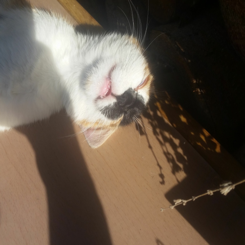 Obrázek epizody Drop as JiG - SAW