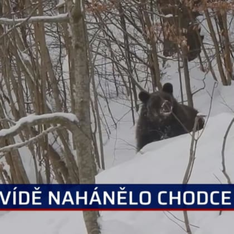 Obrázek epizody To nejlepší ze zahraničí 20.3.2021