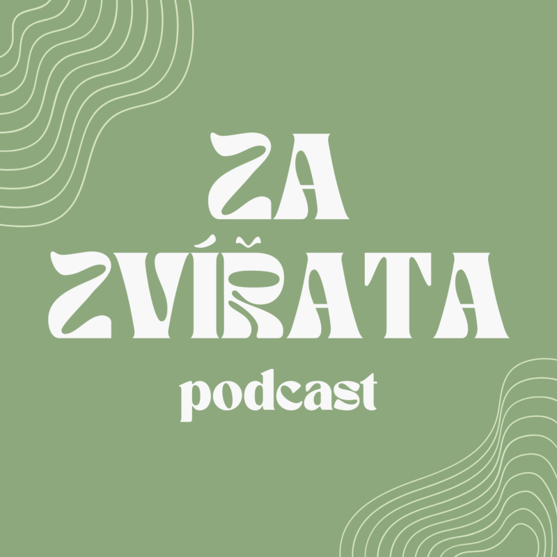 Obrázek epizody #03 | Puppy jóga - proč může být problematická? | Za Zvířata