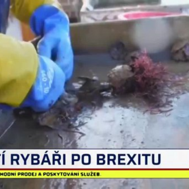 Obrázek epizody Nový den 22.2.2021 7-10