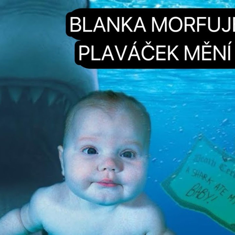 Obrázek epizody Plaváček, týrání miminek a @ave.dingir