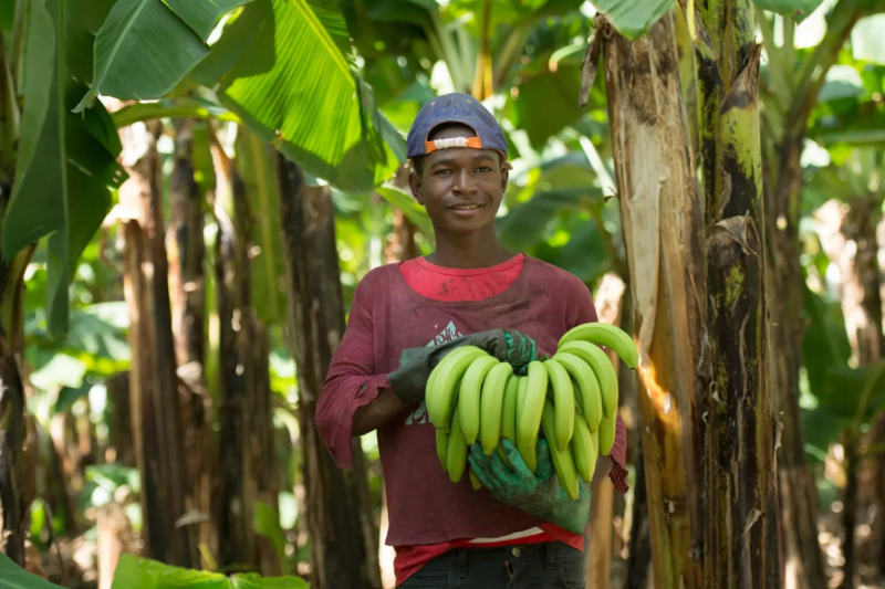Obrázek epizody Fairtrade v Česku — je čas slavit?