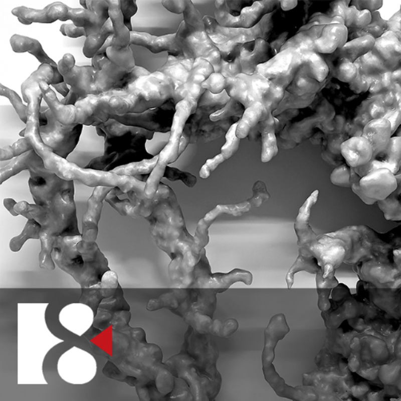 Obrázek epizody Jak se teologie radikalizovala? (4. prosince 2025)