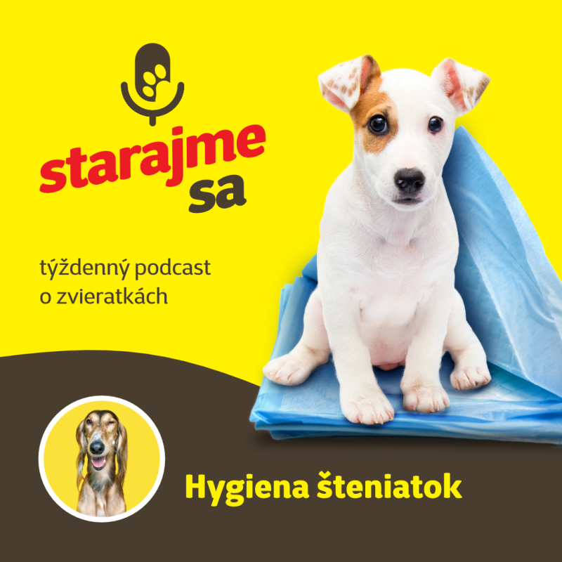 Obrázek epizody Psy: Hygiena šteniatok