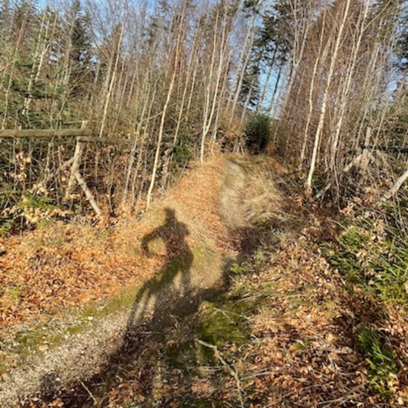 Obrázek epizody Vážená cyklistická branže, udělejte takovéhle elektrokolo