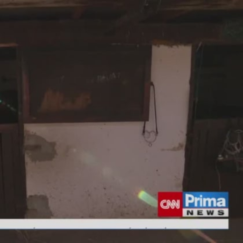 Obrázek epizody Šířící se herpesvirus u koní