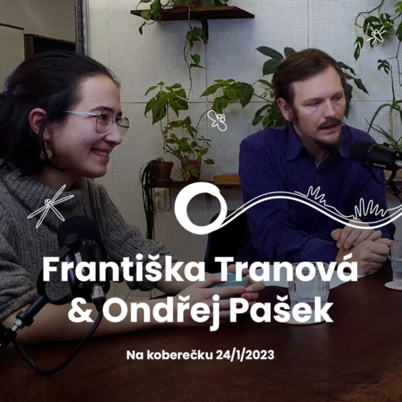 Obrázek epizody #14 - Jak žijí rodiny postižené energetickou chudobou?