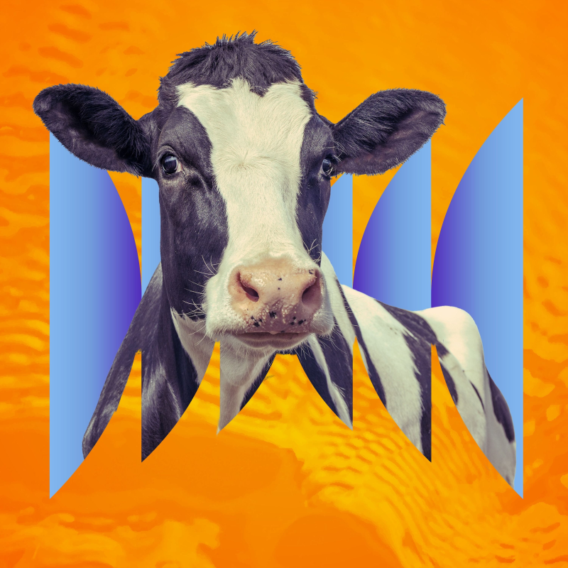 Obrázek epizody The Resistance of a Cow