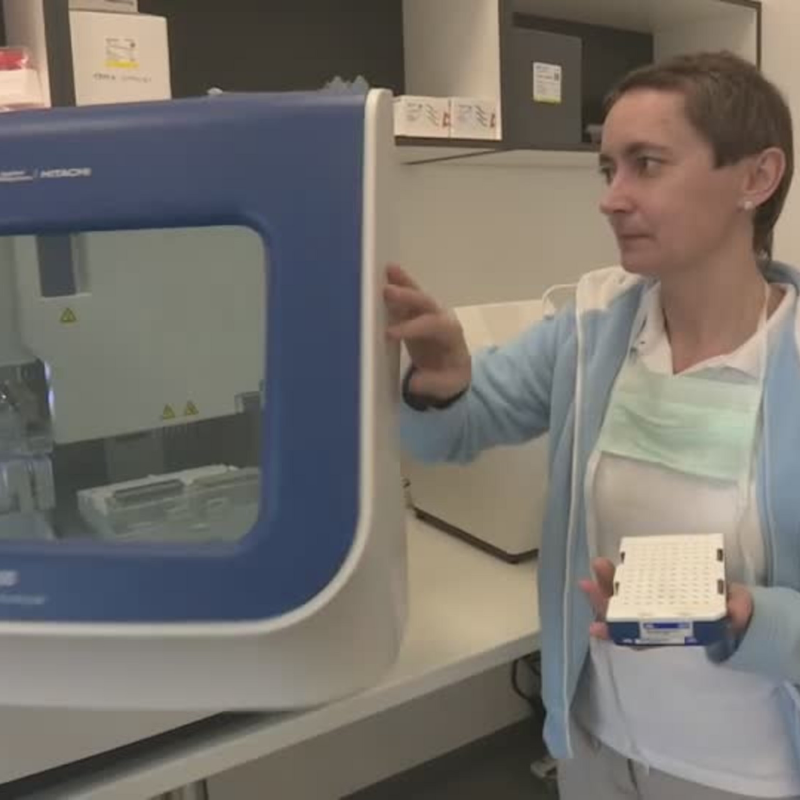 Obrázek epizody Soňa Peková o koronaviru (zdroj: CNN Prima NEWS)