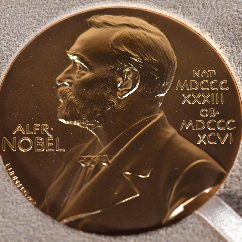 Obrázek epizody All the news and science from the 2025 Nobel prizes