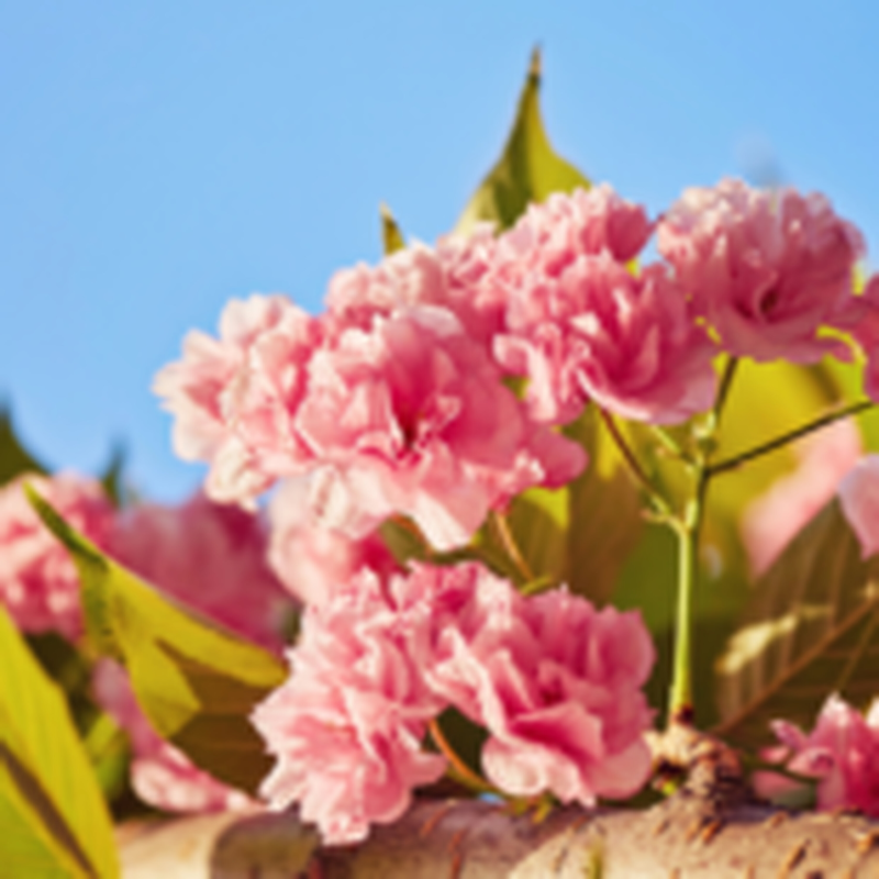 Obrázek epizody HOROSKOPY: Panny, dnešek ovlivní vaší náladu. Jak se budete chovat k druhým, tak se oni budou chovat k vám