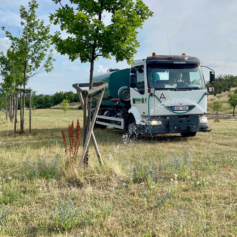 Obrázek epizody Péče o zeleň v letních měsících.
