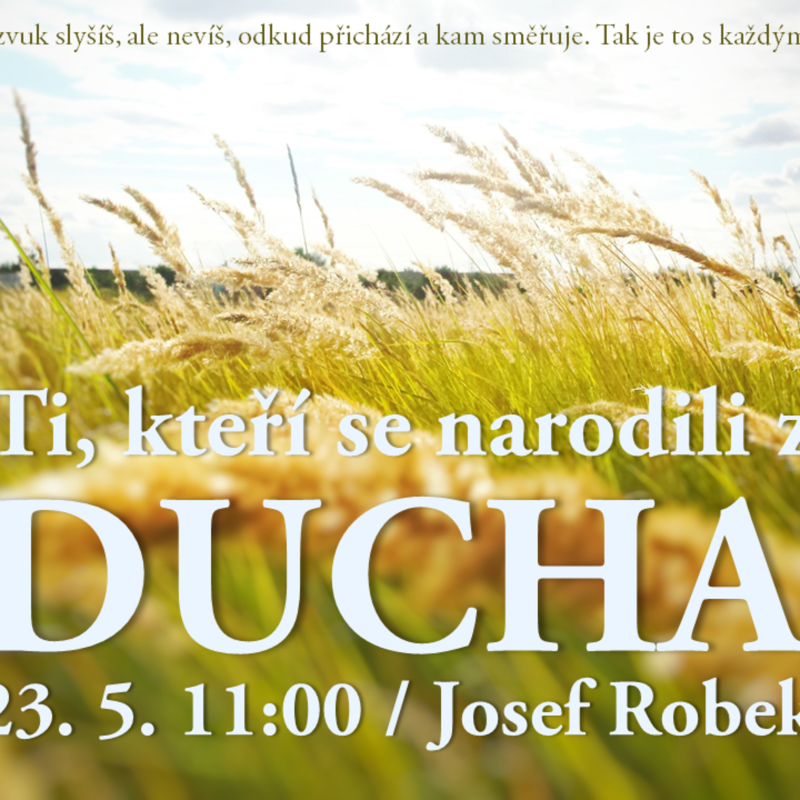 Obrázek epizody Ti, kdo se narodili z Ducha (kázání)