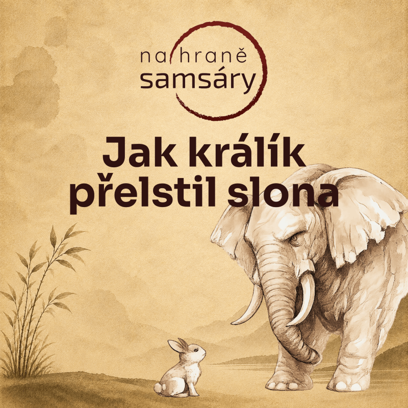Obrázek epizody 20. Jak králík přelstil lva