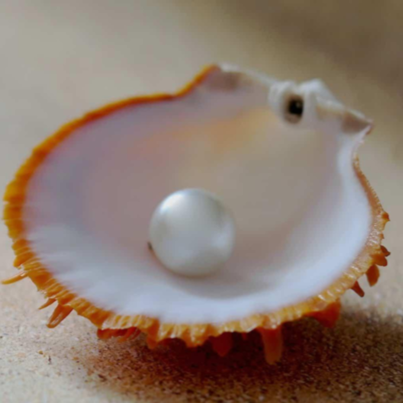 Obrázek epizody Podobenství o perle