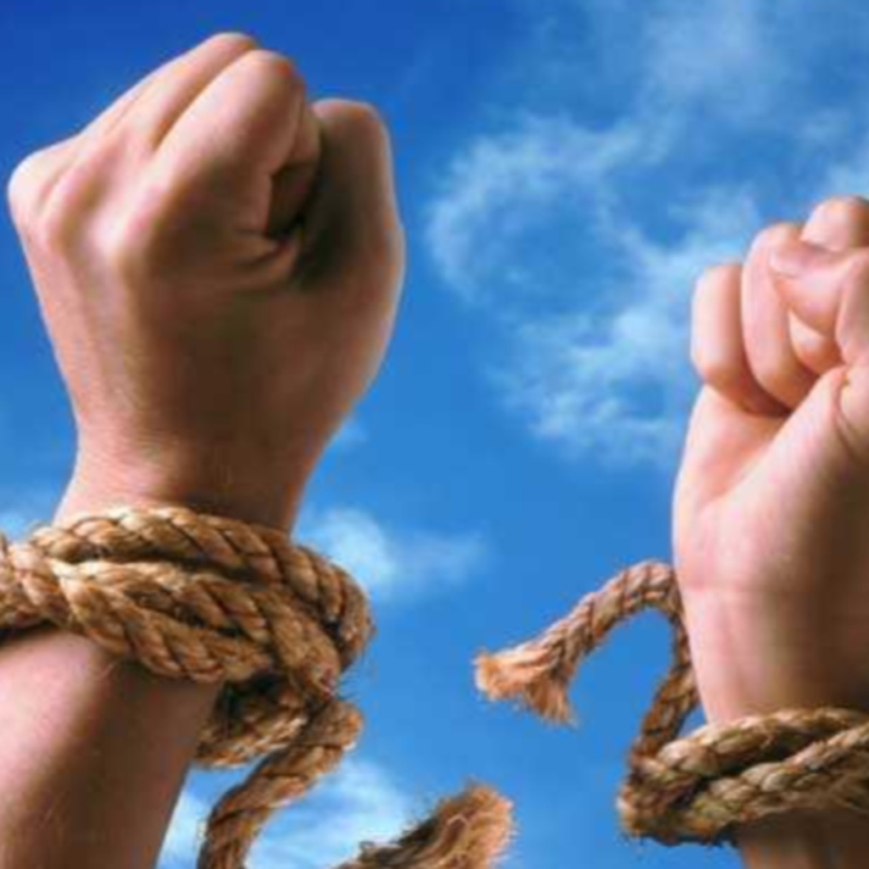 Obrázek epizody Odpuštění