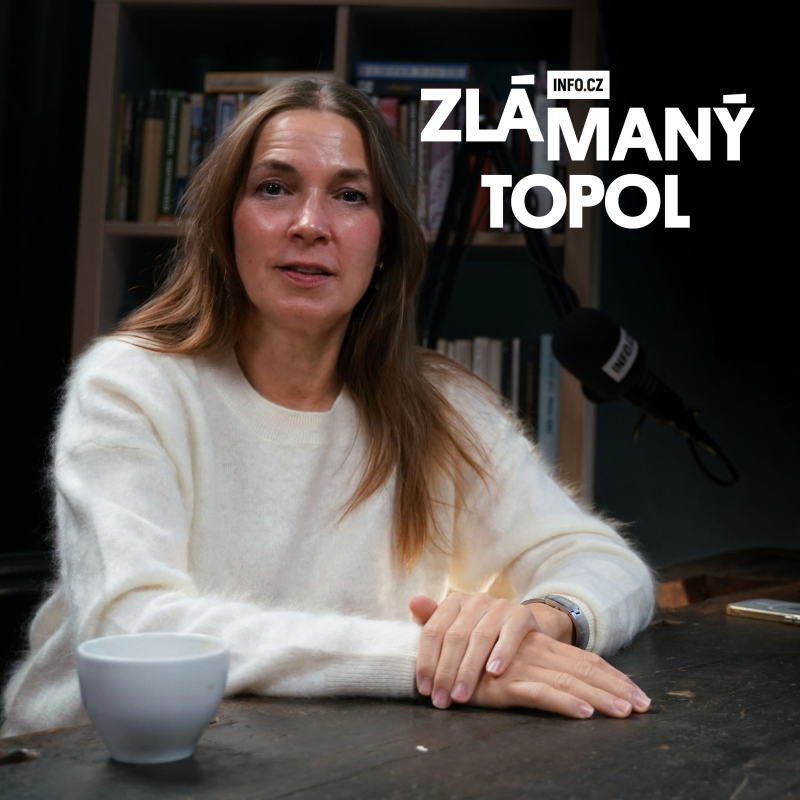 Obrázek epizody Topolánek: Prezident nepověří nikoho bez 101 podpisů. Konečná na 99 procent Babišovi hlasy nedá