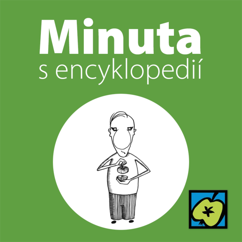 Obrázek epizody Vánoční zvyky