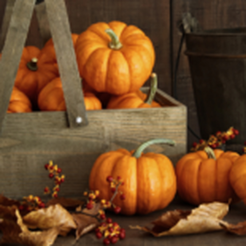 Obrázek epizody HOROSKOPY: Ryby, rozum a cit jsou to, co se ve vás sváří, a můžete se chovat proti vší logice