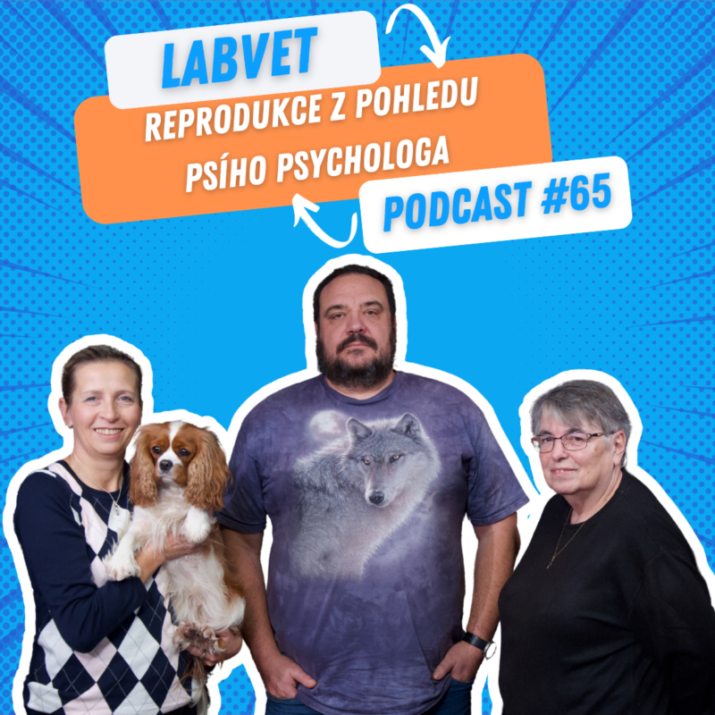 Obrázek epizody 🐕 Reprodukce z pohledu psího psychologa 🐕 | Labvet Podcast #65