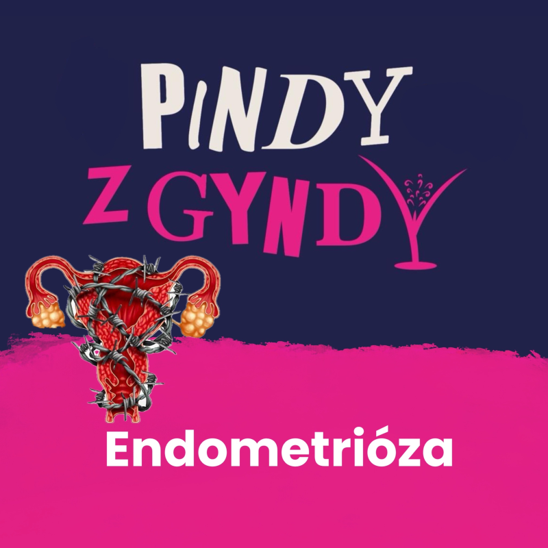 Obrázek epizody Endometrióza