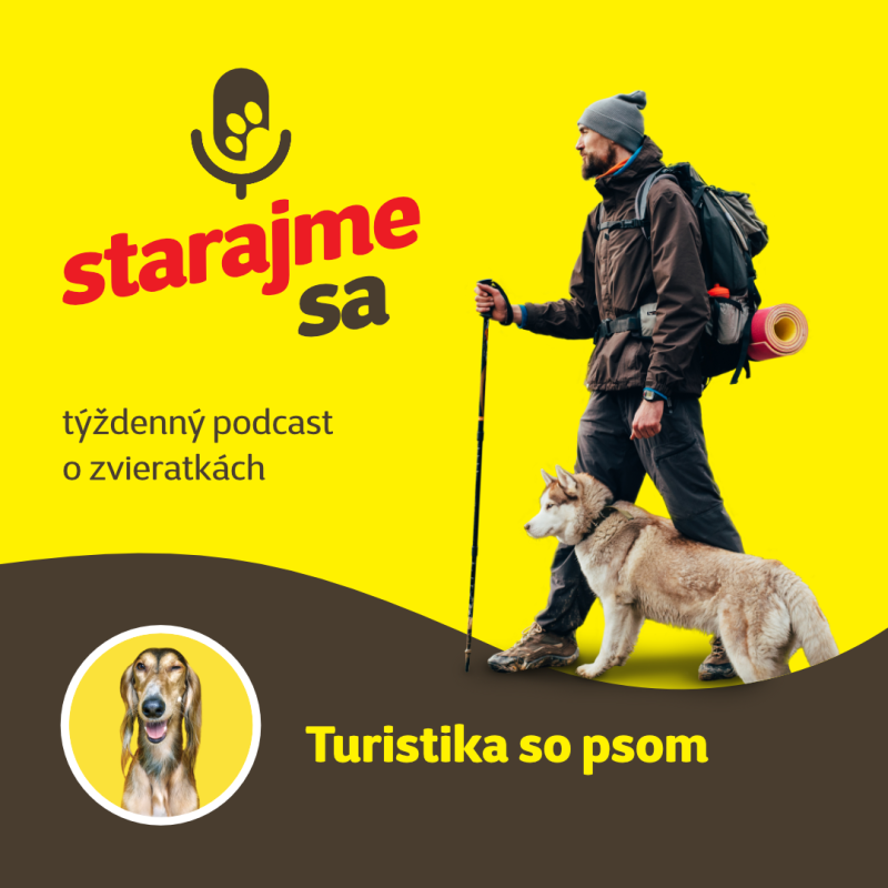 Obrázek epizody Psy: Turistika so psom