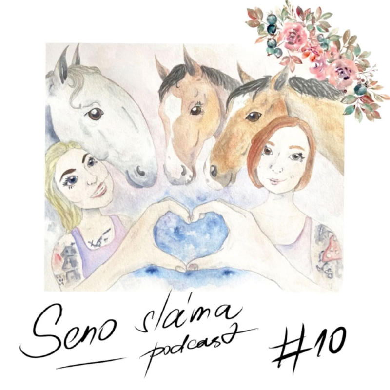 Obrázek epizody #10 Kecací okénko: Jak byste popsali Vašeho koně, kdyby byl člověk?