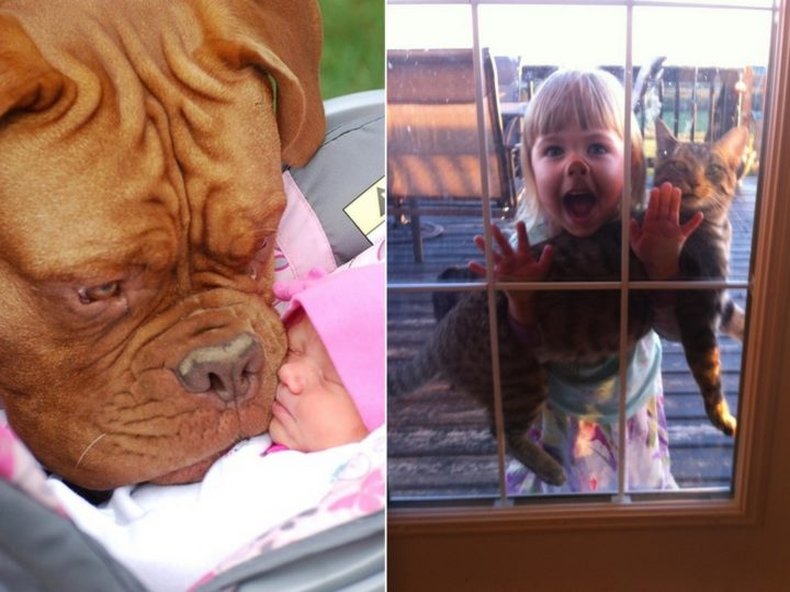 Obrázek epizody Vojtěch Filip chce zastavit hraboše