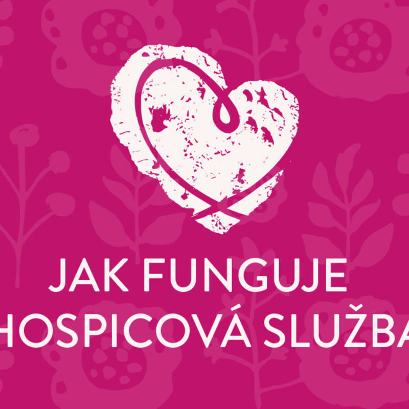 Obrázek epizody Jak funguje hospicová péče: skutečné příběhy, souhra s rodinou a důstojný závěr života 🤍