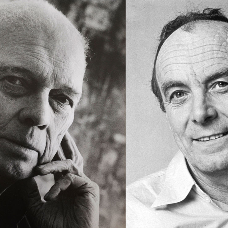 Obrázek epizody Ruml a Medek 100