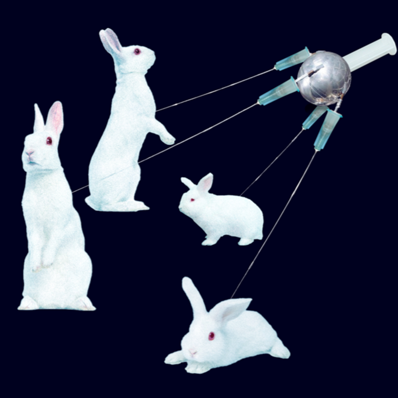 Obrázek epizody #32 Sputnik V dobývá střední Evropu