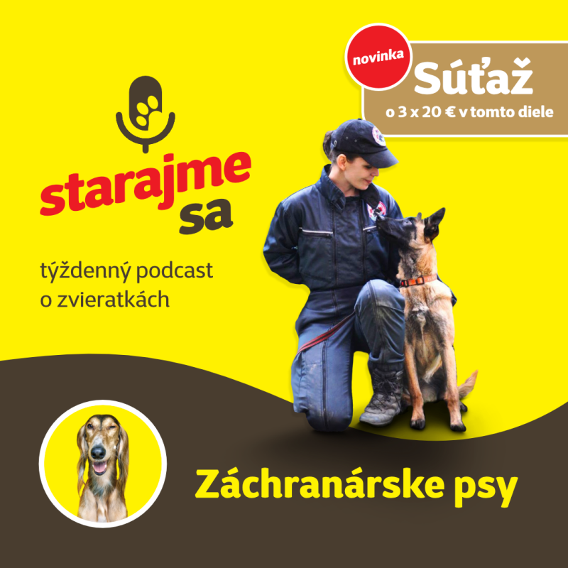 Obrázek epizody Psy: Záchranárske psy
