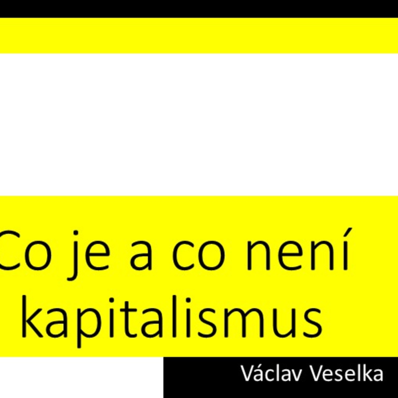 Obrázek epizody Co je a není kapitalismus: Liberty Talks